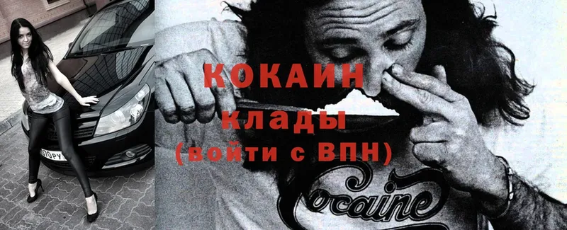 где купить   Каменногорск  COCAIN Fish Scale 